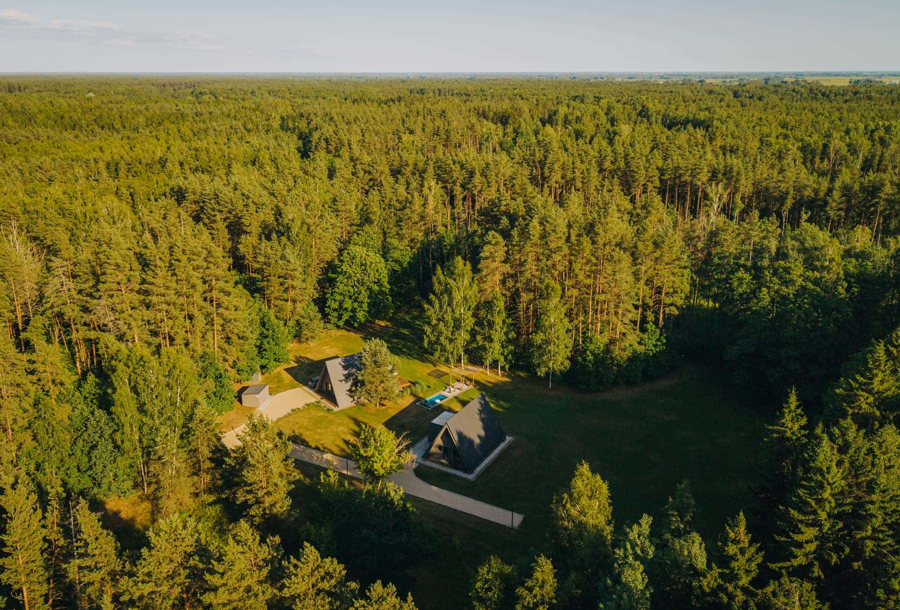 Namai MIŠKE miško apsuptyje iš paukščio skrydžio