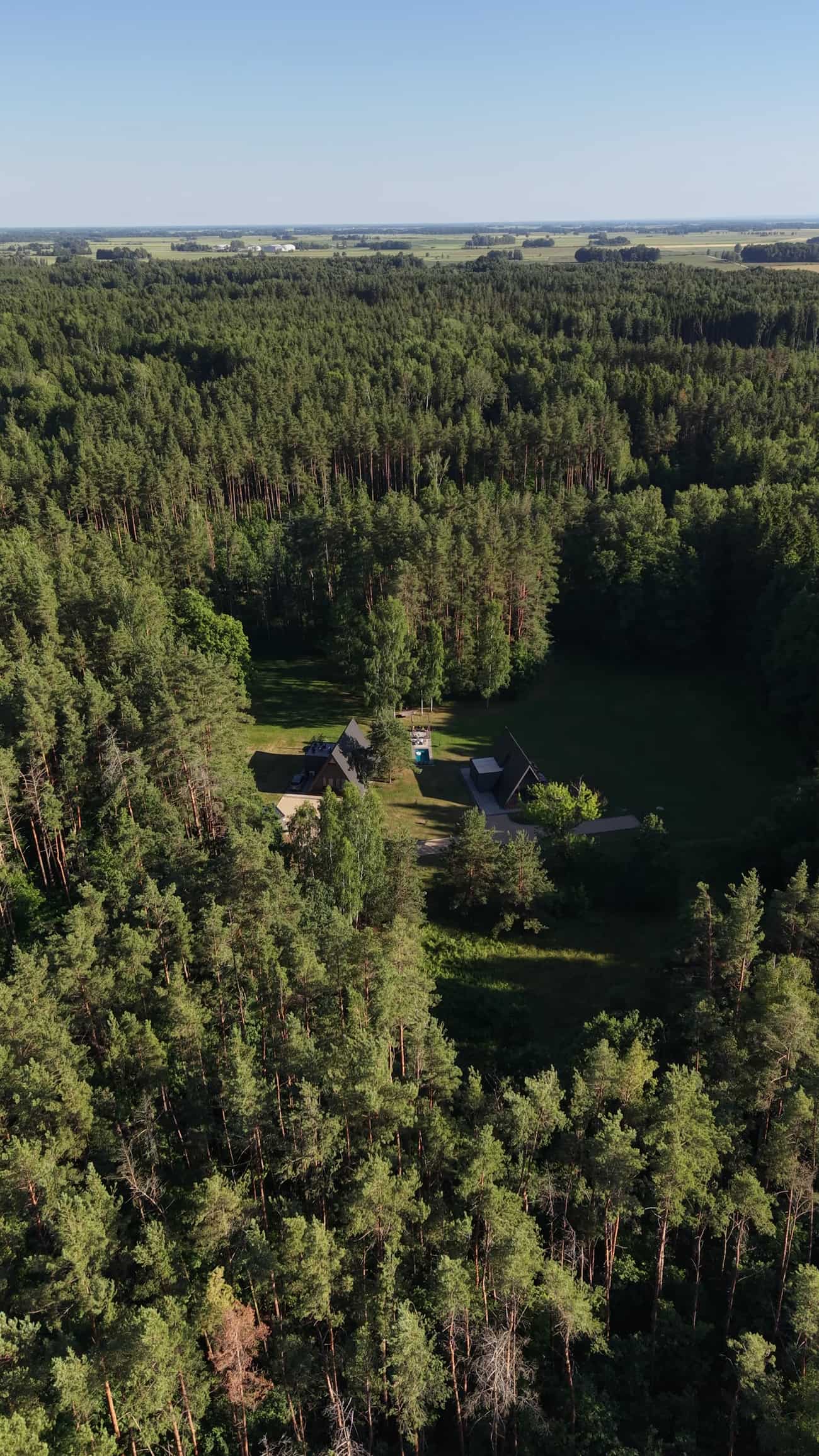 Namas MIŠKE iš paukščio skrydžio miško apsuptyje